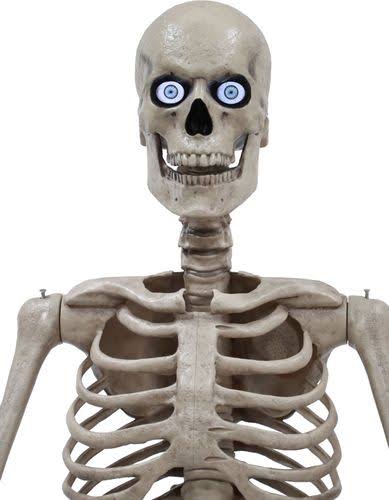 8ft Towering Skeleton with Posable Arms Moving Jaw R70895
