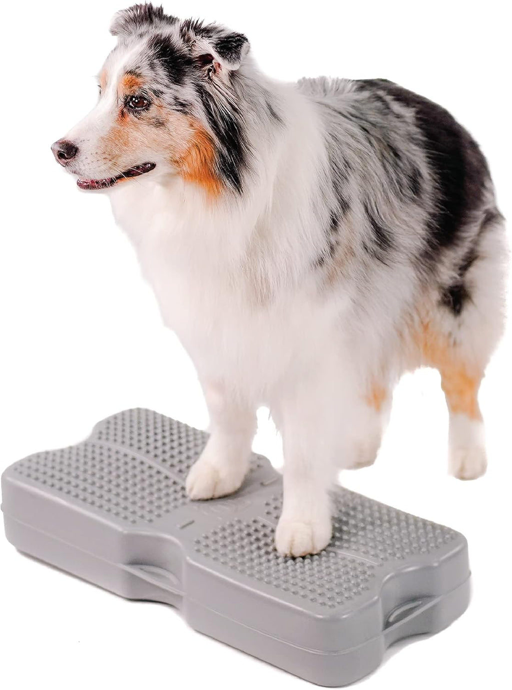 Gray Dog Fitness Equipment Y912