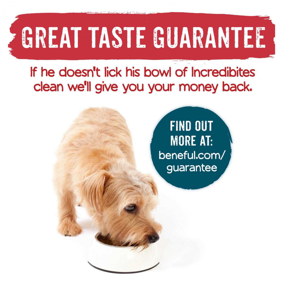 Beef Dry Dog Food K90677