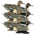 6 Pack Pintail Duck Decoys E97870