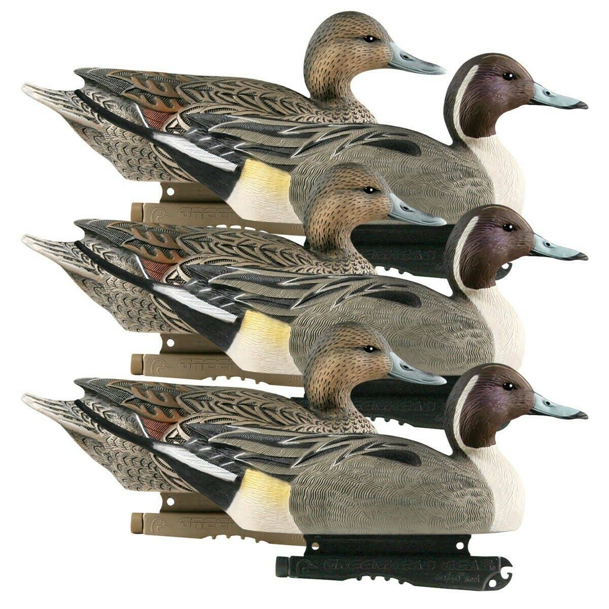 6 Pack Pintail Duck Decoys E97870