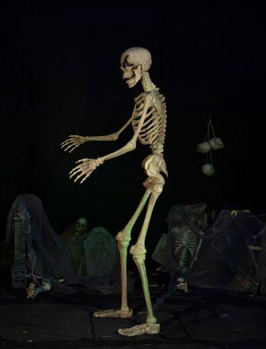 8ft Towering Skeleton with Posable Arms Moving Jaw R70895