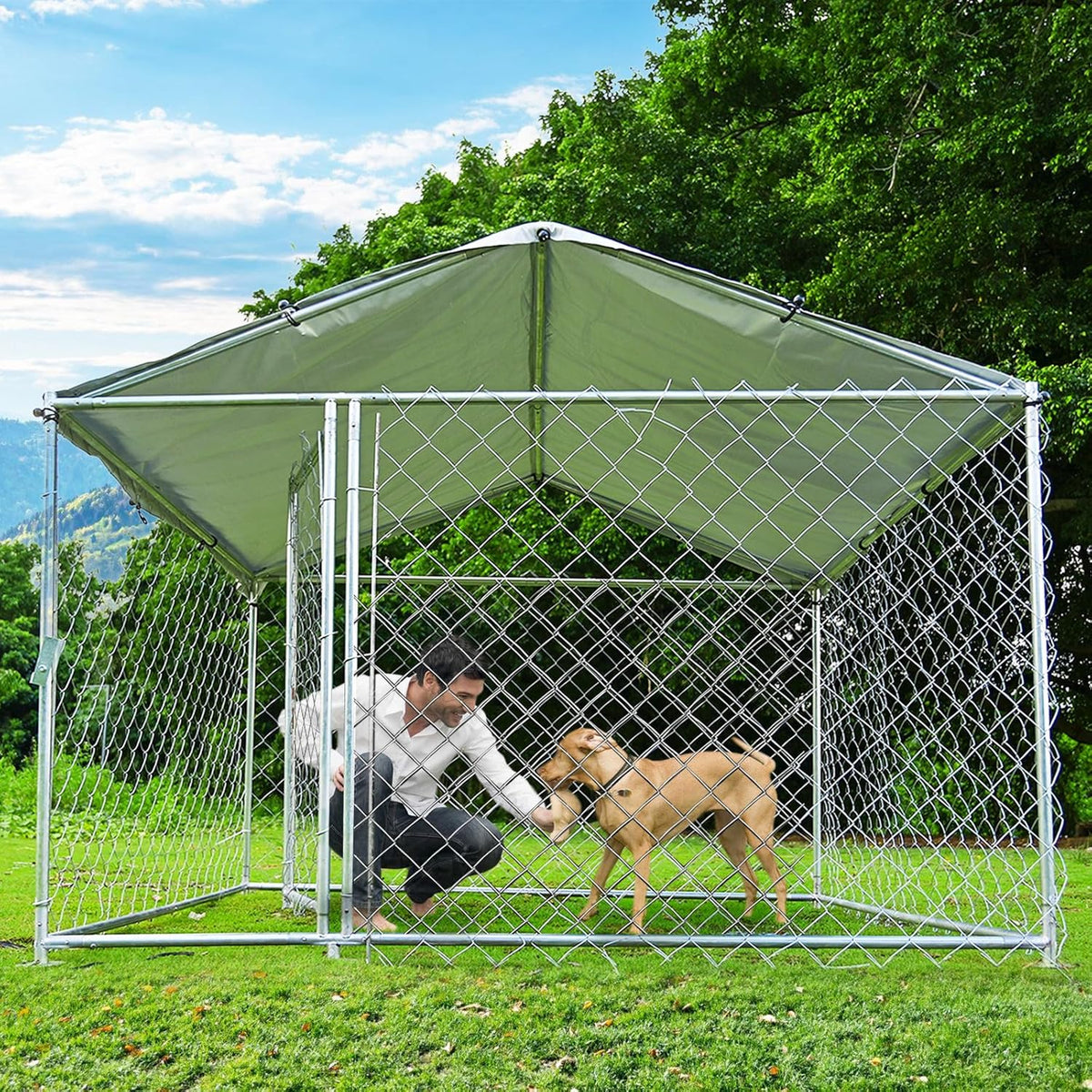 Heavy Duty Outdoor Dog Kennel with Waterproof Roof C301898