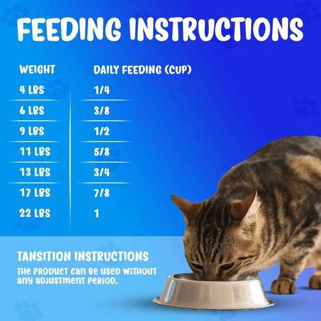 Active Kidney Renal Support Diet Dry Cat Food P555