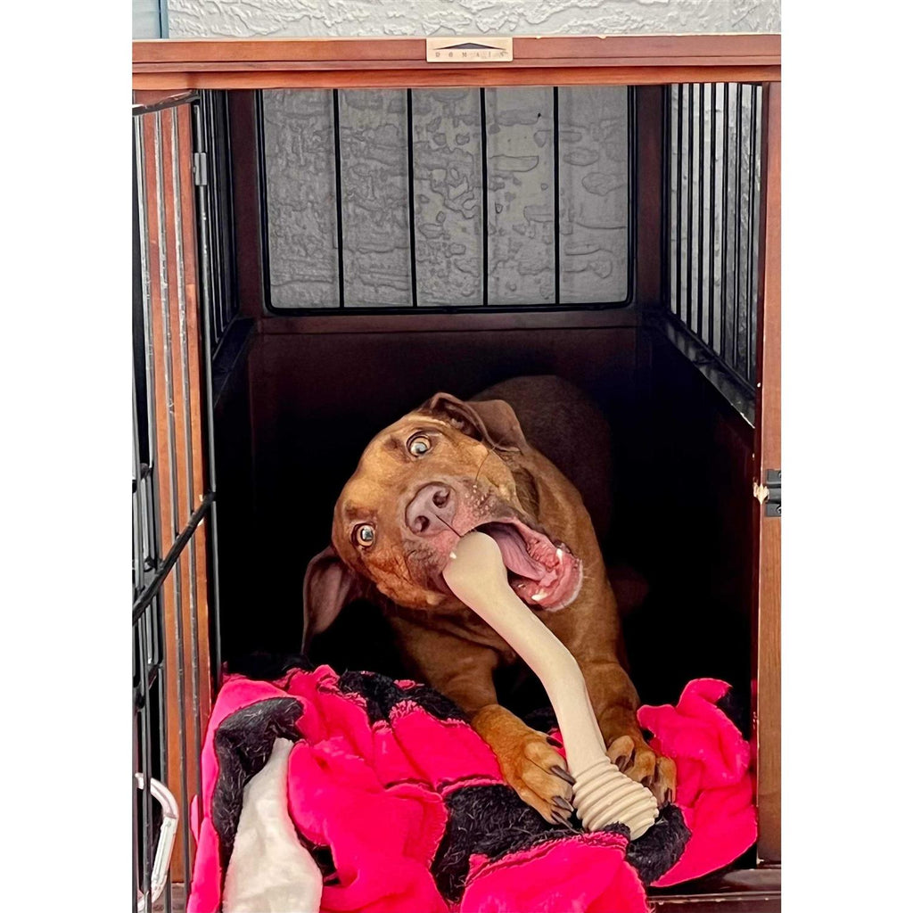 Tough Dog Chew Beef A64721