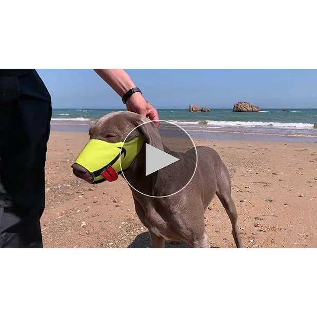 Dog Muzzle with Soft Breathable Air Mesh Nylon S616