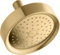 Vibrant Brushed Moderne Brass Showerhead F191