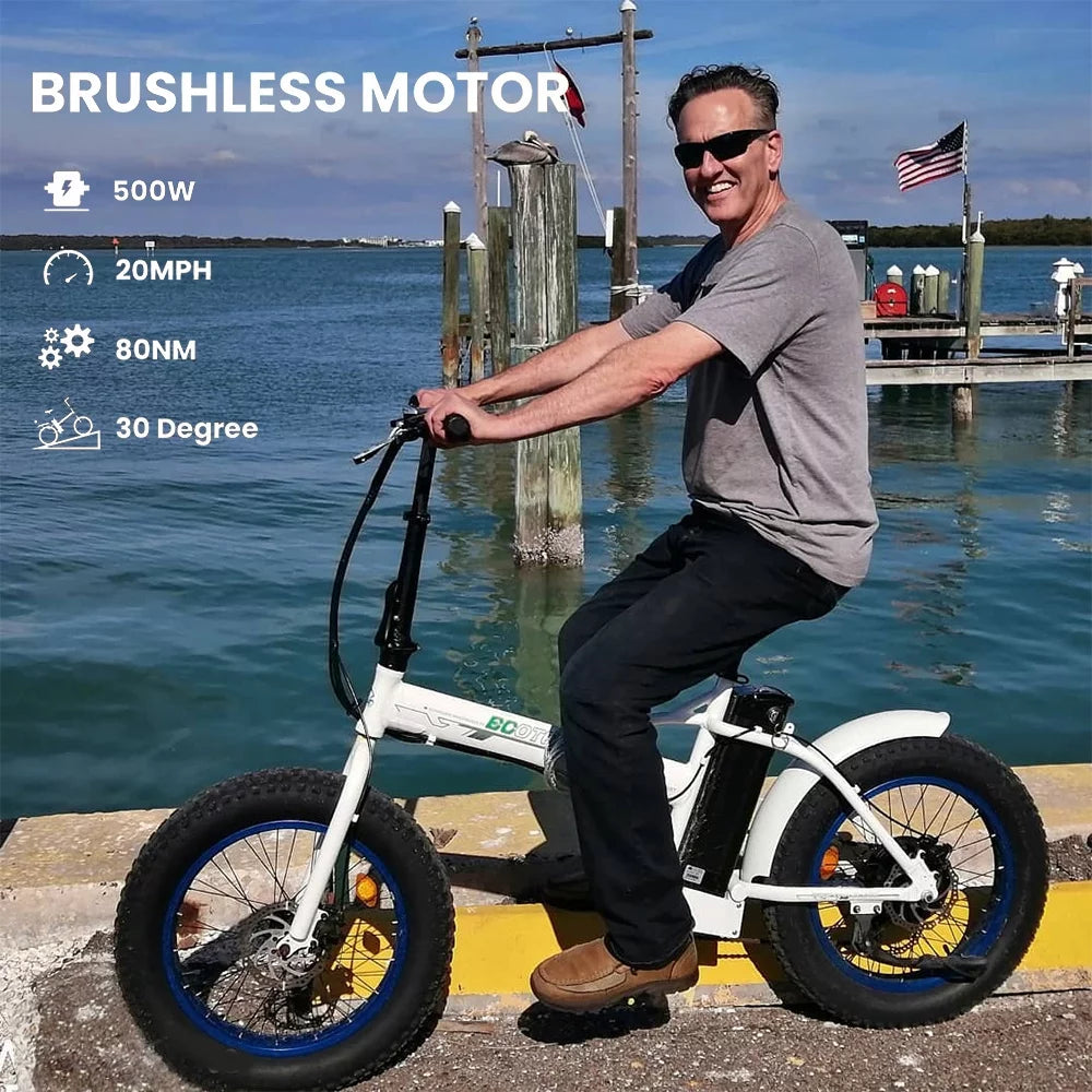 20 Fat Tire Folding Electric Bike 500W 36V R266694