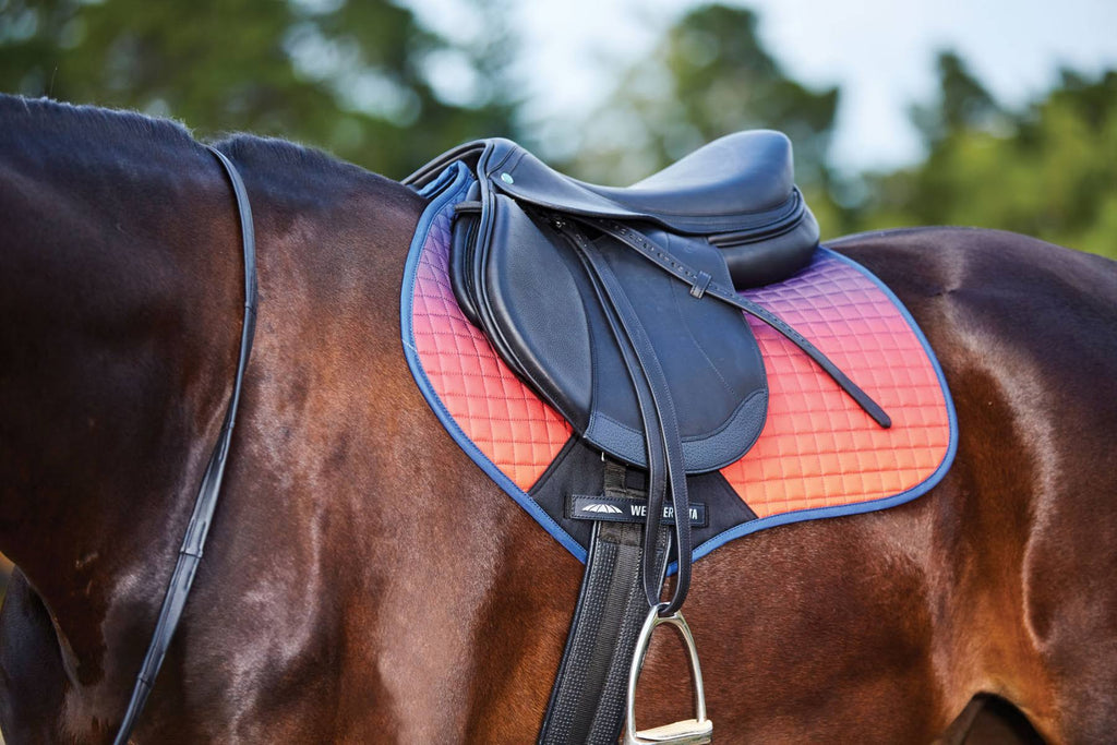 Pony Ombre Jump Saddle Pad K219