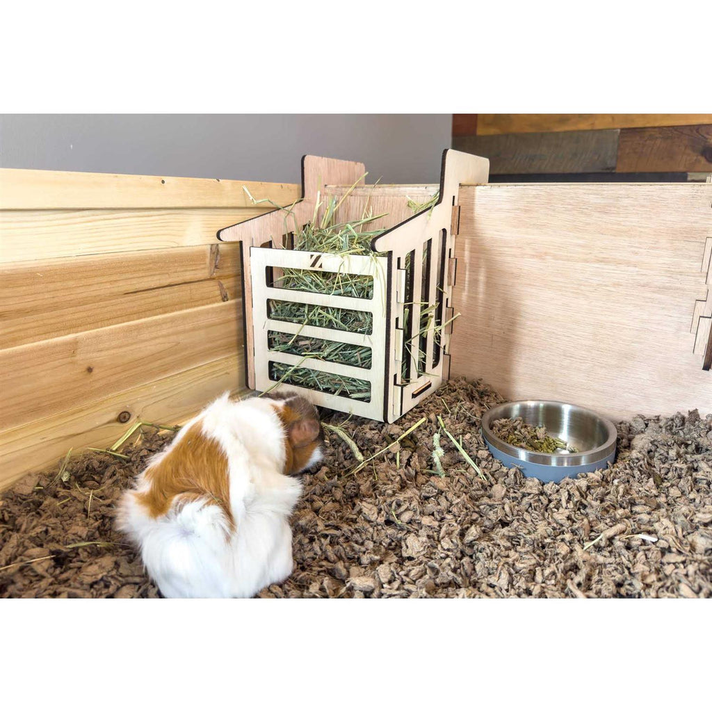 Guinea-Pig Habitat M418556