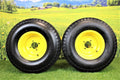 22x9.50-10 4 Ply Turf Tires Set of 2 B3021