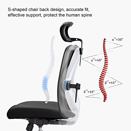 Black Ergonomic Office Chair with Adjustable Headrest and Lumbar Support P178