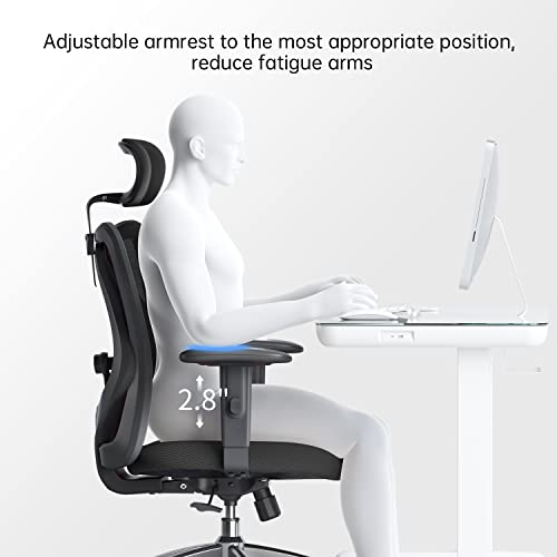 Black Ergonomic Office Chair with Adjustable Headrest and Lumbar Support P178