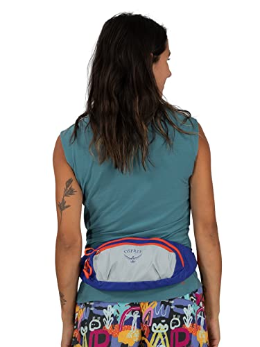 Daylite Waist Pack F619530