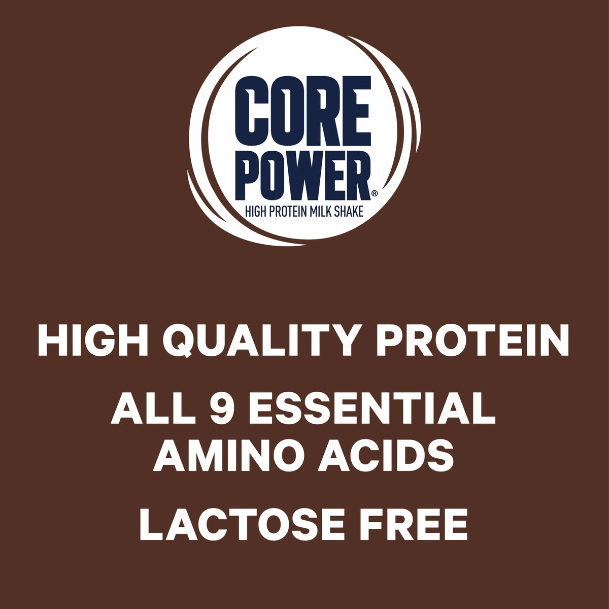 Chocolate Protein Shake, 14 fl oz, 12 Count M707002