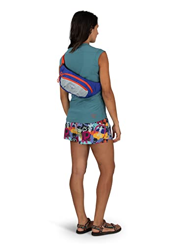 Daylite Waist Pack F619530