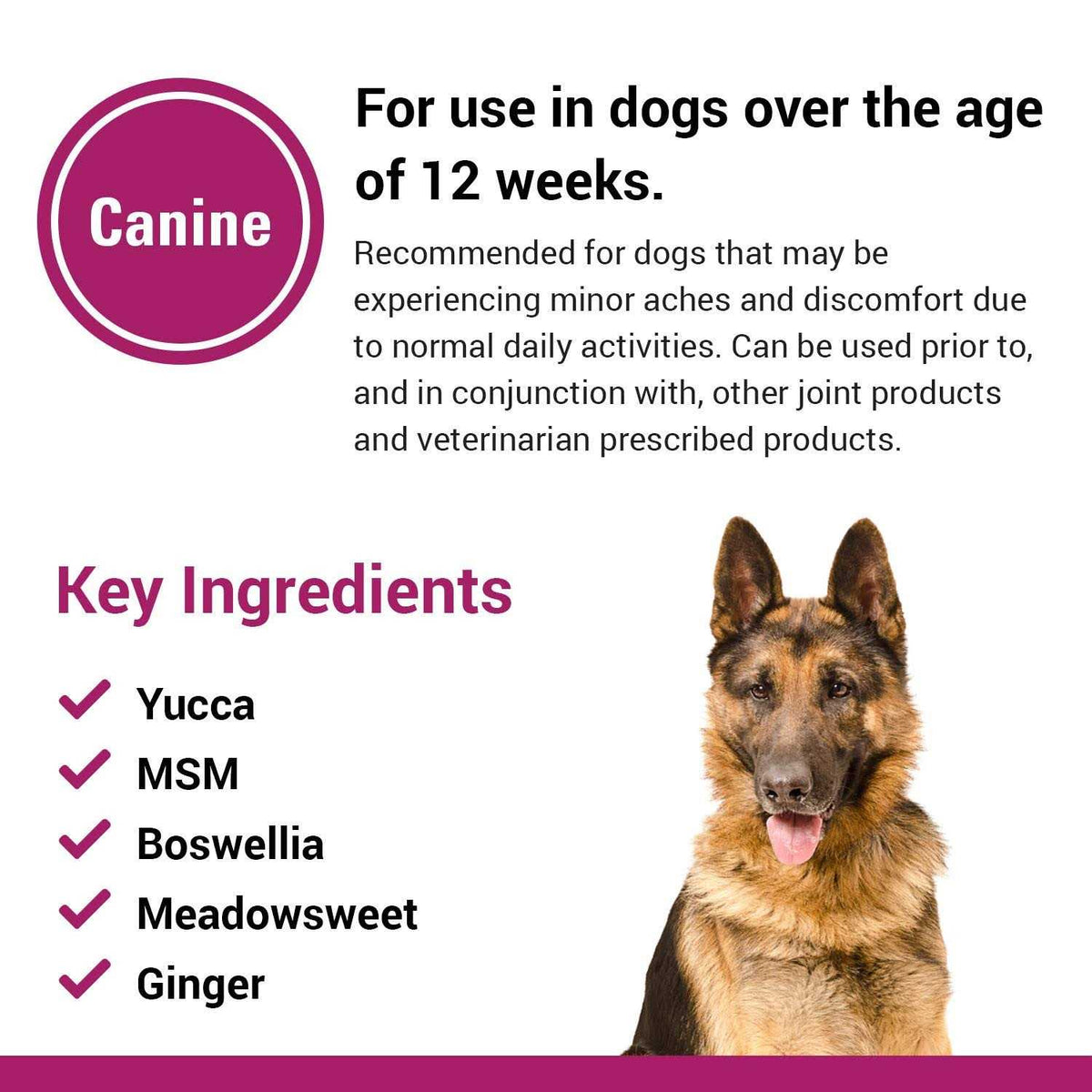 Pain Plus for Dogs G3152