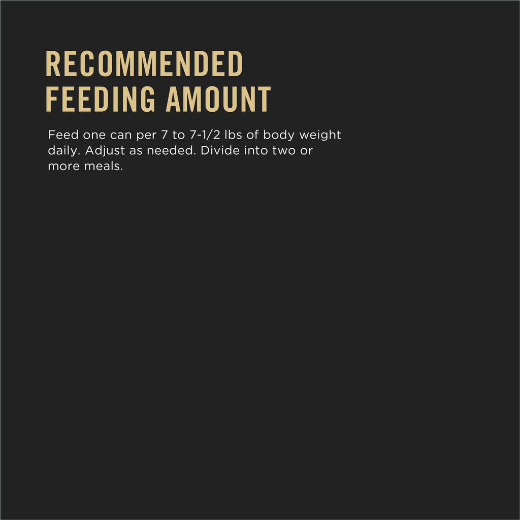 Wet Cat Food Z867548