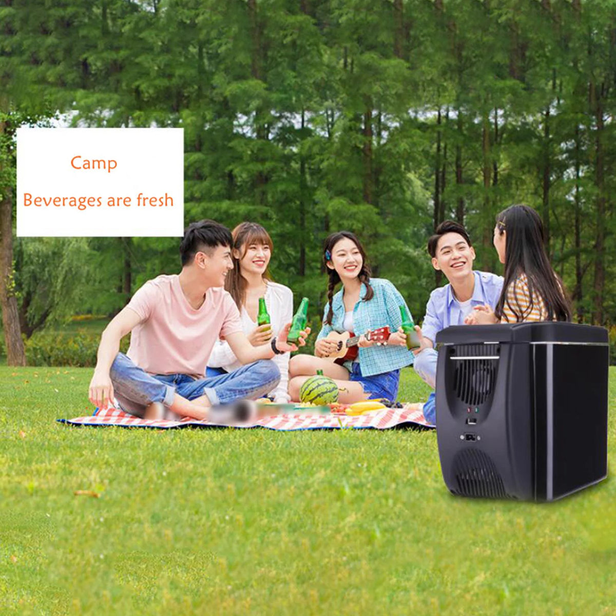 6 Liter Mini Fridge R45308