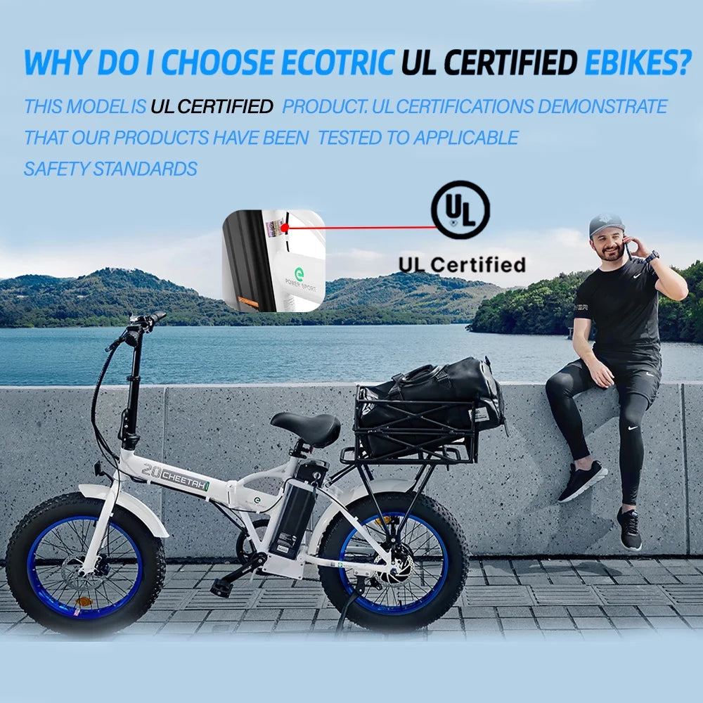 20 Fat Tire Folding Electric Bike 500W 36V R266694