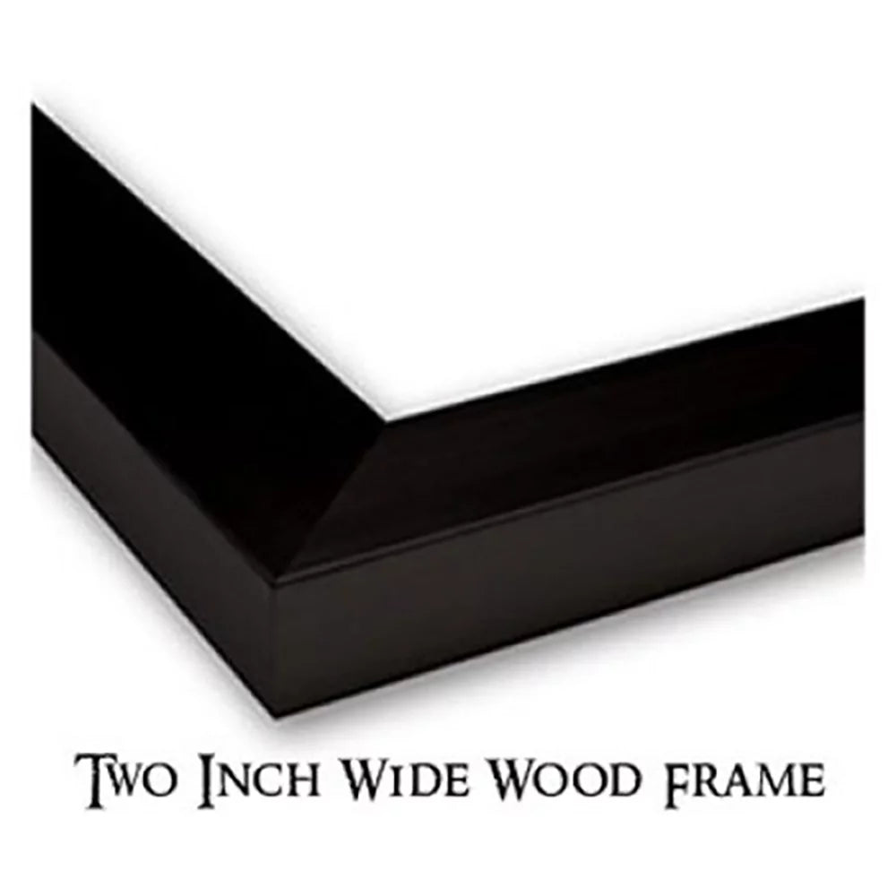 Black Framed Museum Art Print O67385