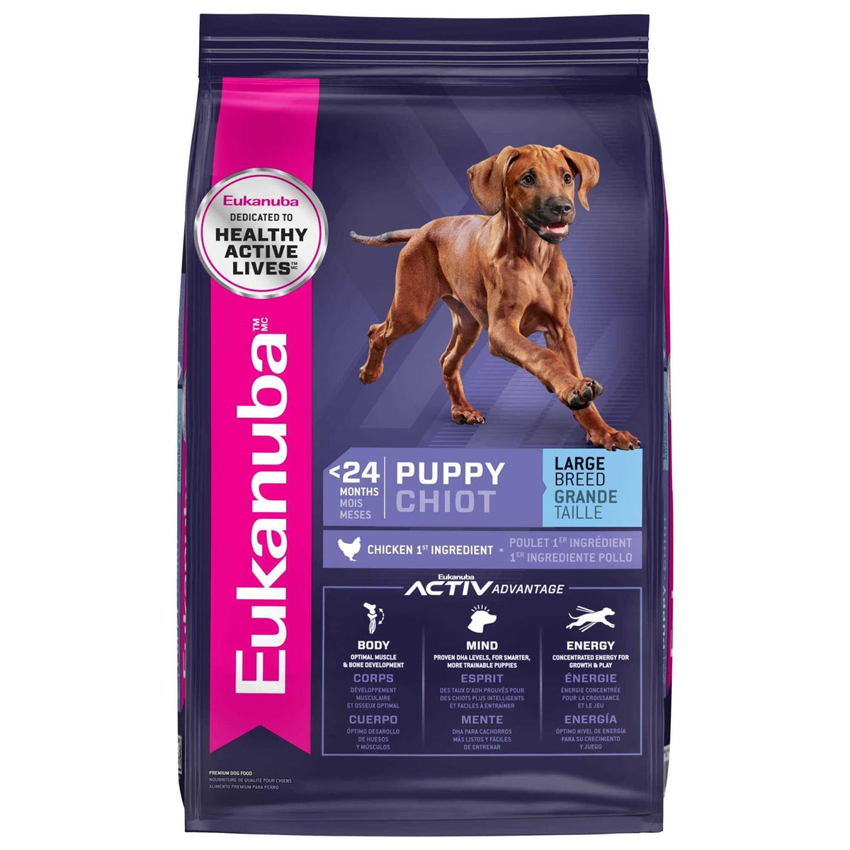 Dry Dog Food H725