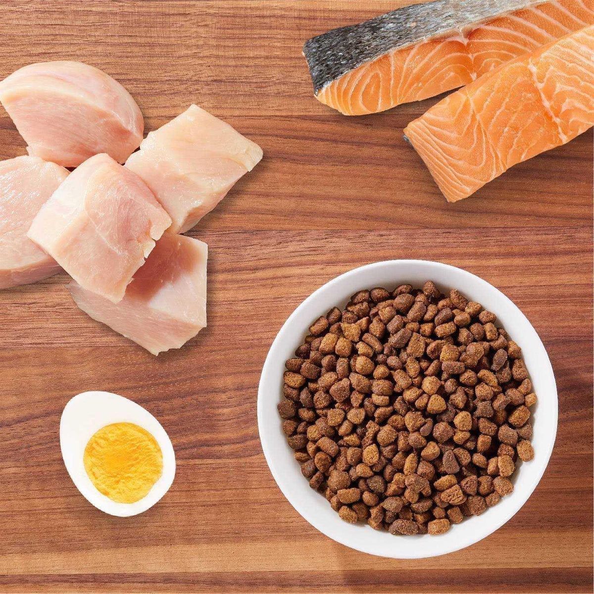 Salmon Adult Dry Cat Food I894