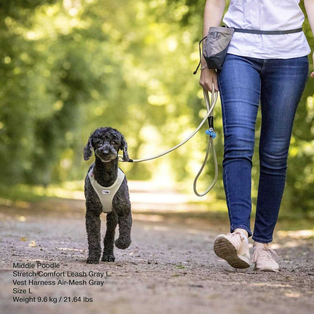 Comfort Leash N626