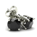 Black Diamond Stud Earrings in 14K Gold F426961
