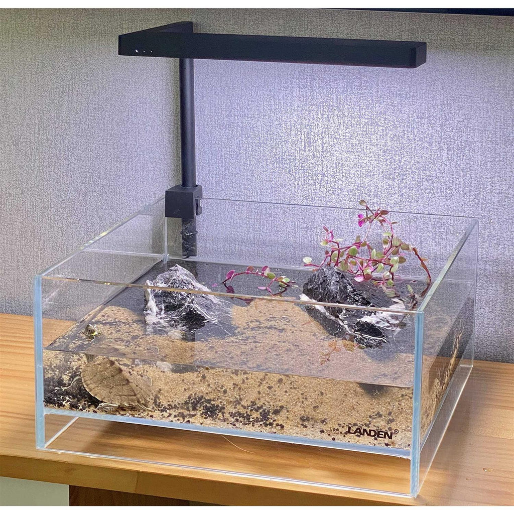 1.6 Gallon Rimless Low Iron Glass Aquarium Tank F703065