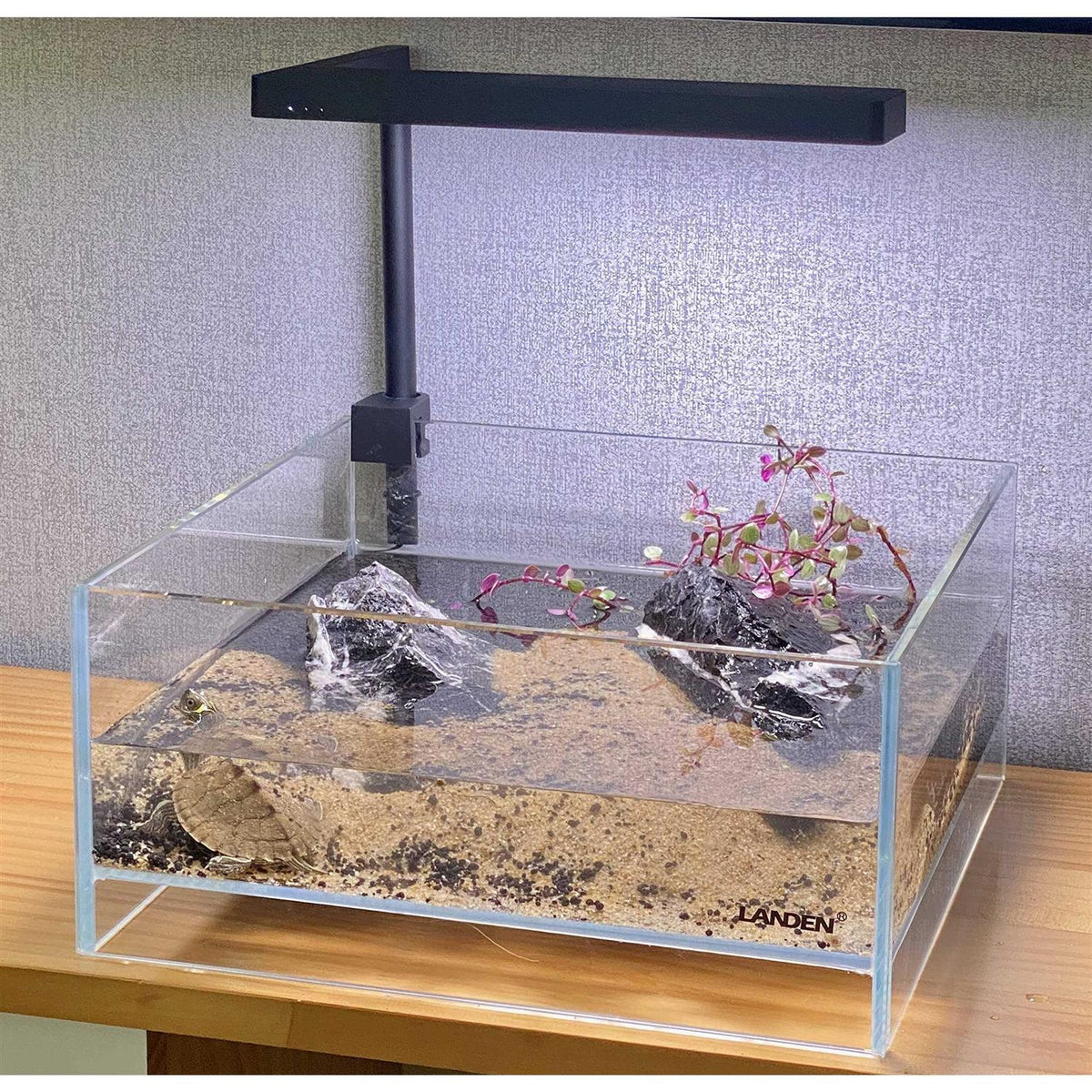 1.6 Gallon Rimless Low Iron Glass Aquarium Tank F703065