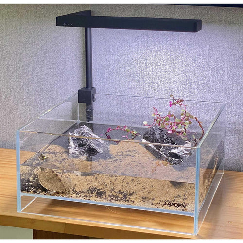 1.6 Gallon Rimless Low Iron Glass Aquarium Tank F703065