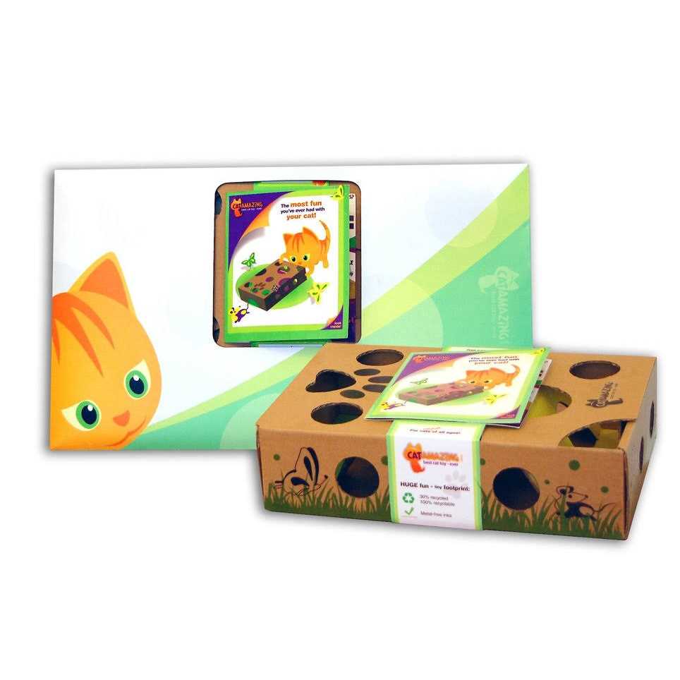 Interactive Cat Treat Maze Puzzle Feeder E797