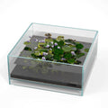 1.6 Gallon Rimless Low Iron Glass Aquarium Tank F703065