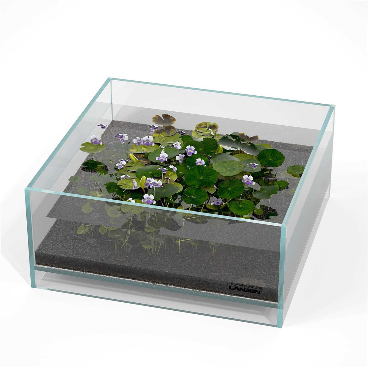 1.6 Gallon Rimless Low Iron Glass Aquarium Tank F703065