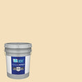Semi-Gloss Exterior Paint (5-Gallon) D848181