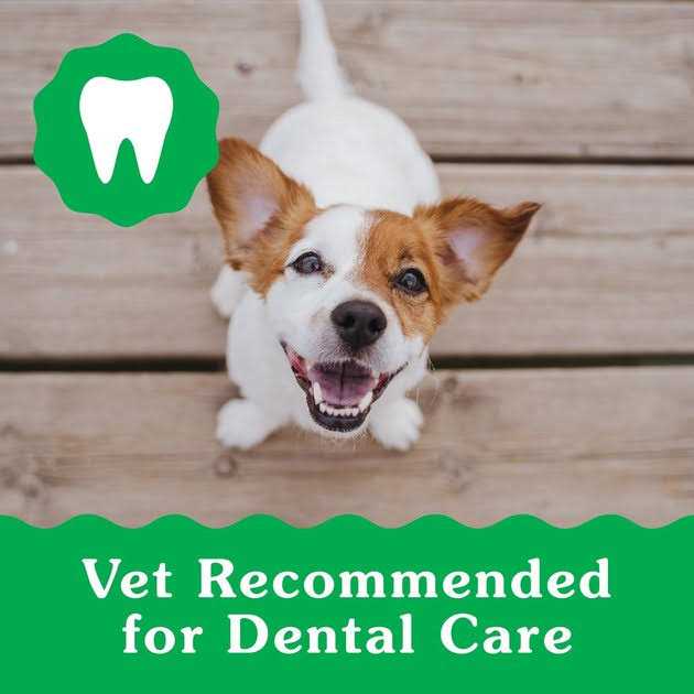 Dental Dog Treats P3850