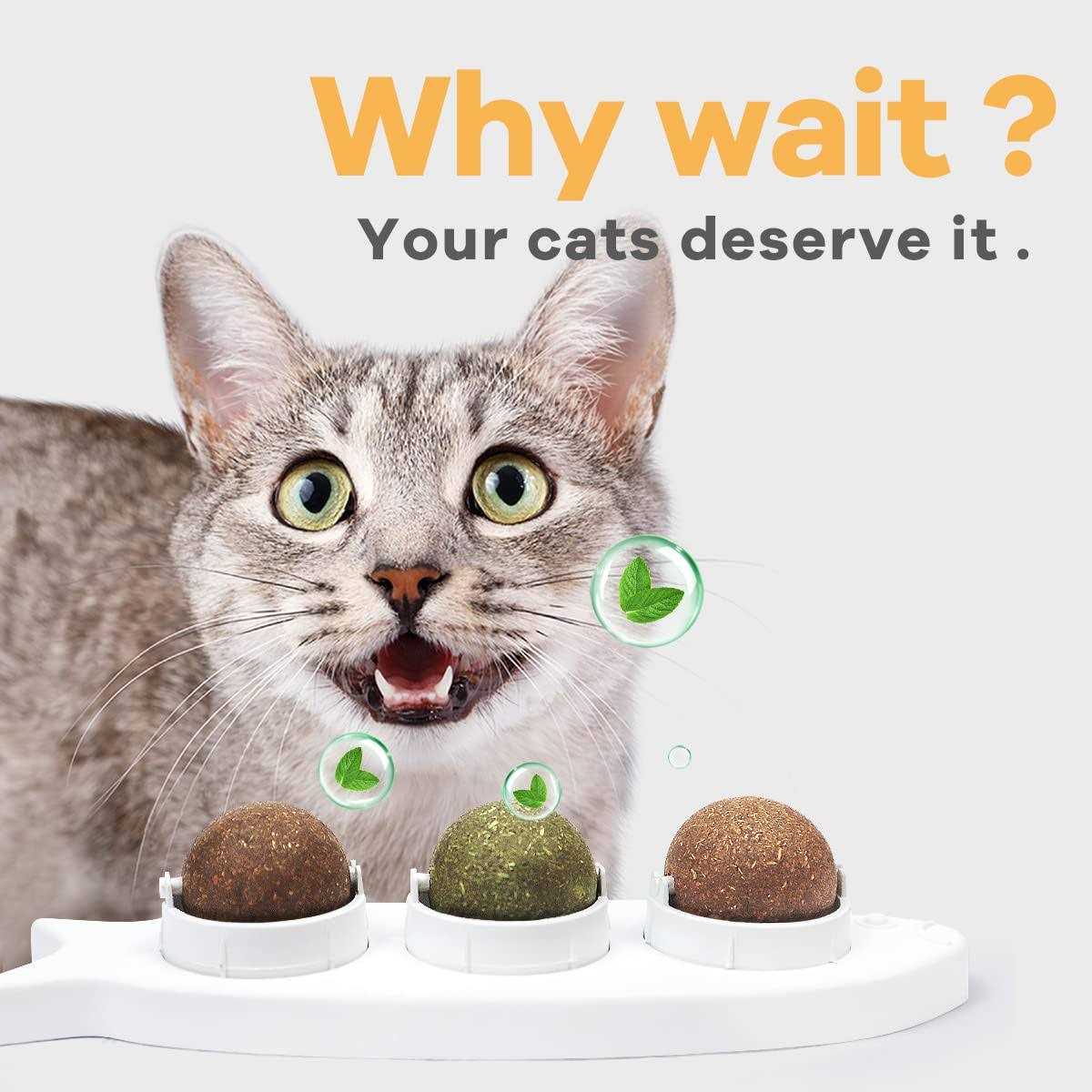 Catnip Wall Balls Toys for Cats L6481