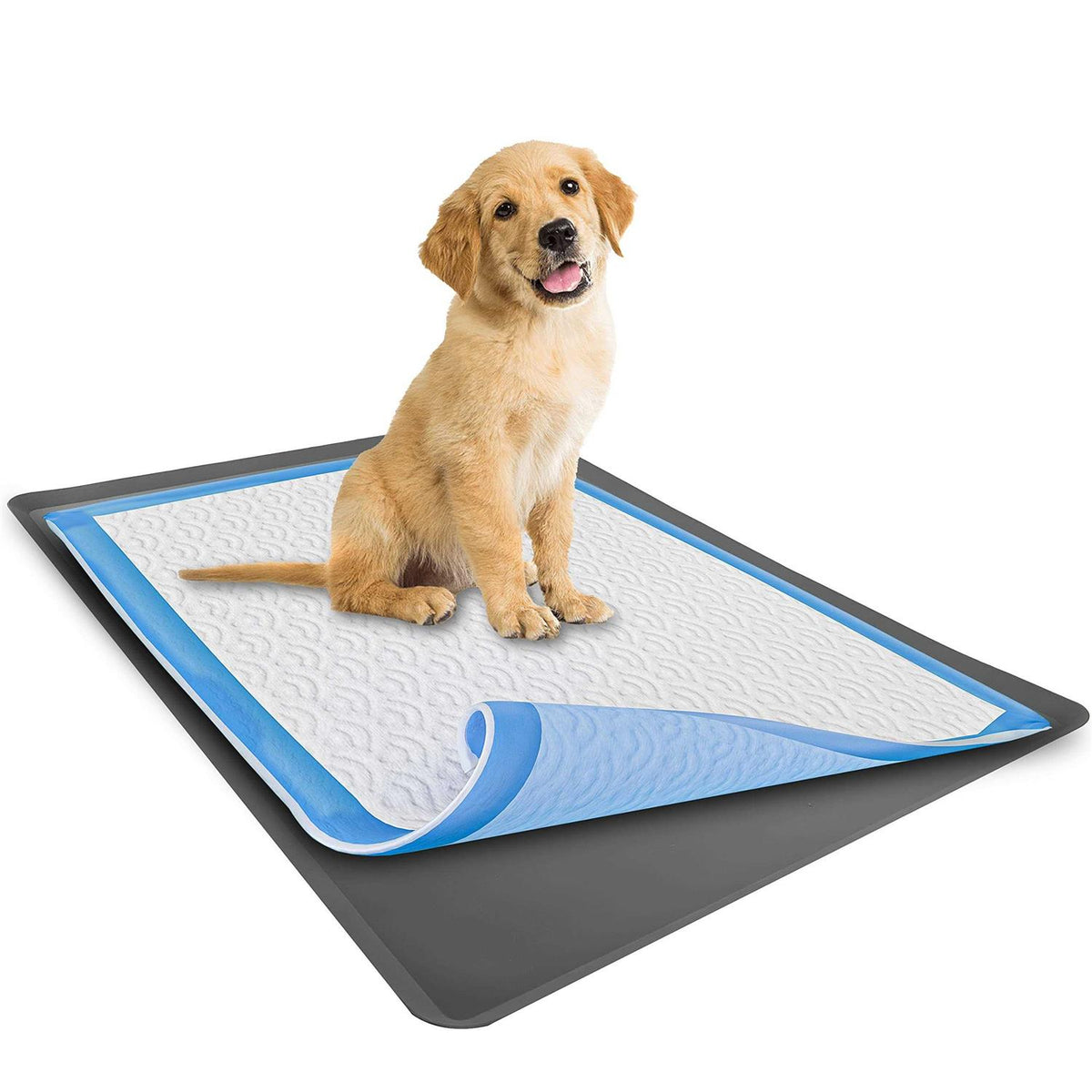 Puppy Pad Holder Tray No Spill O7277