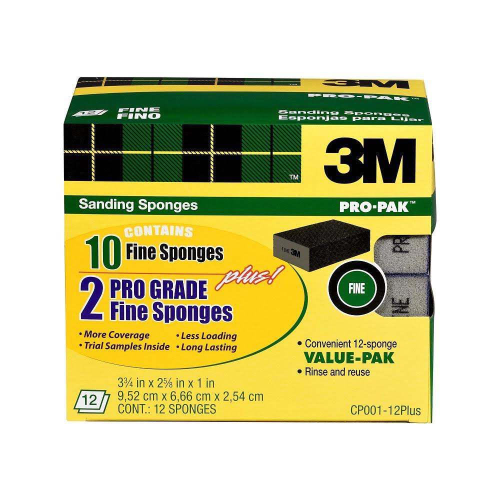 Fine Grit Sanding Sponge (Case of 4, 12-Packs) L1376