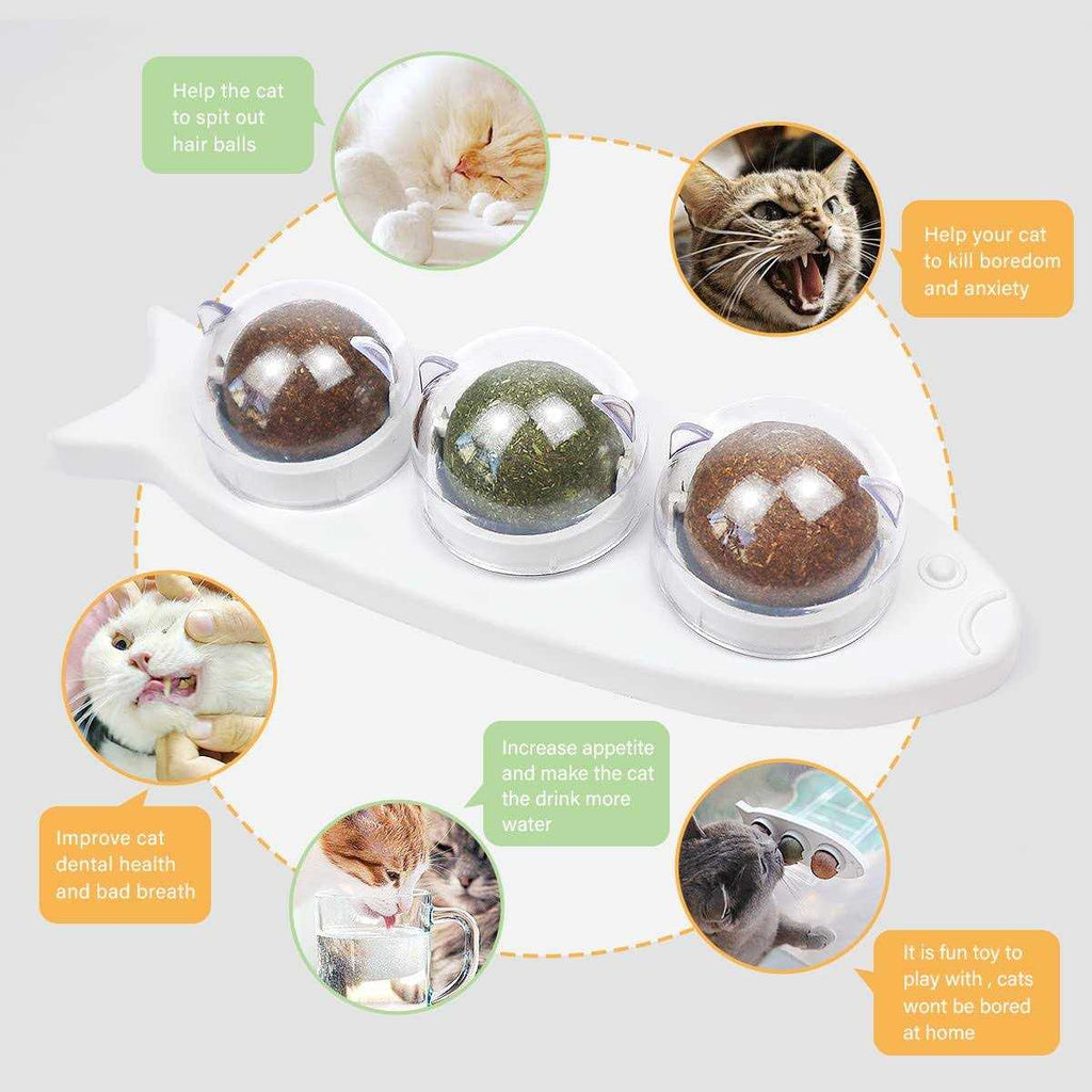 Catnip Wall Balls Toys for Cats L6481