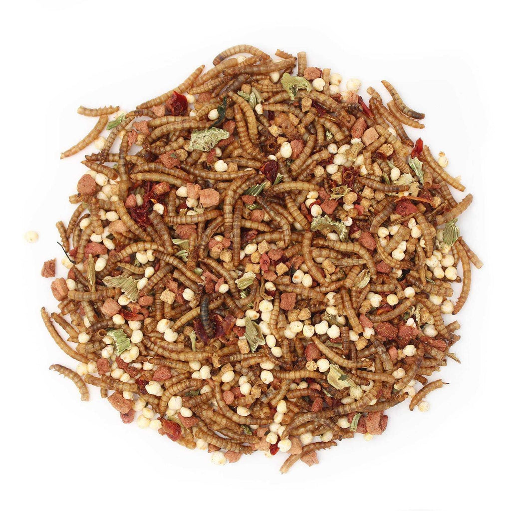 Hedgehog Treat B802