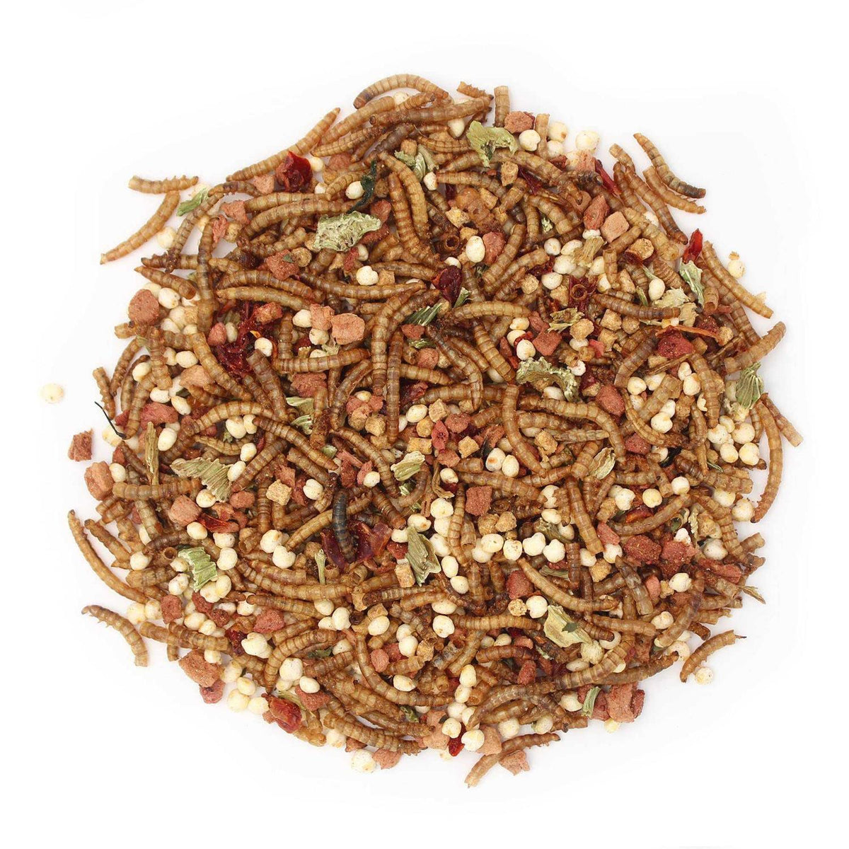 Hedgehog Treat B802