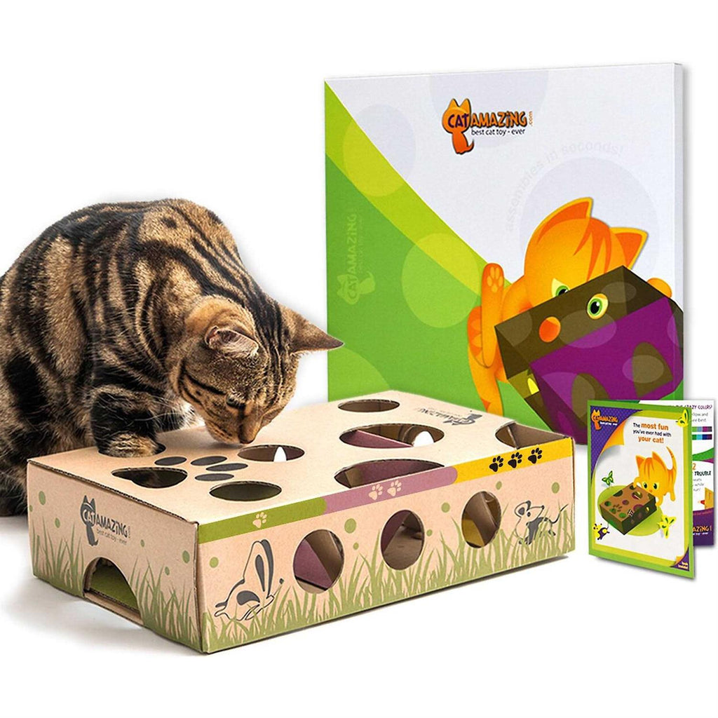 Interactive Cat Treat Maze Puzzle Feeder E797