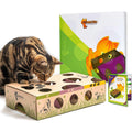 Interactive Cat Treat Maze Puzzle Feeder E797