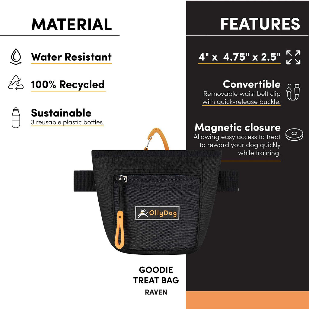 Treat Bag O586