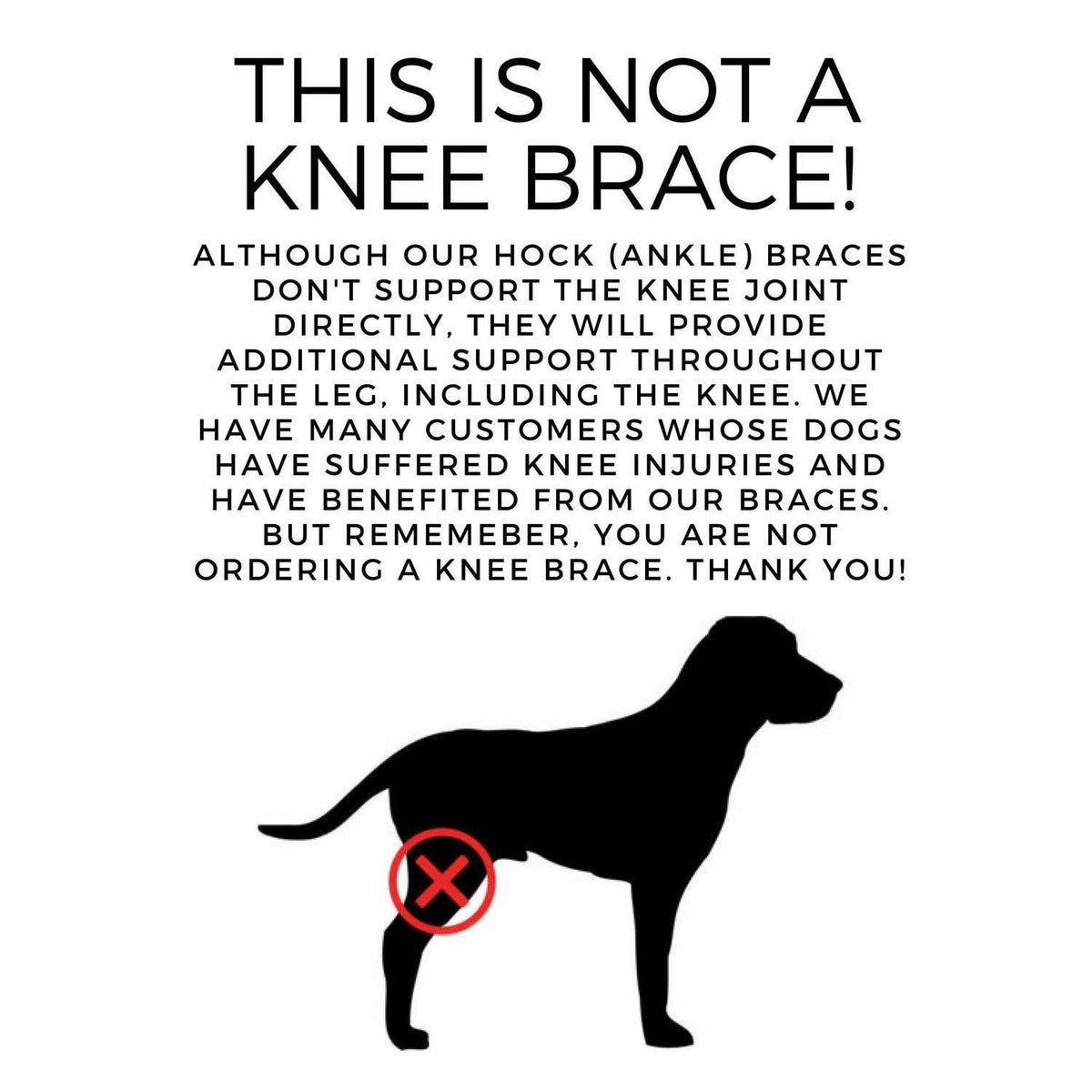 Dog Rear Leg Hock Joint Compression Wrap N74357