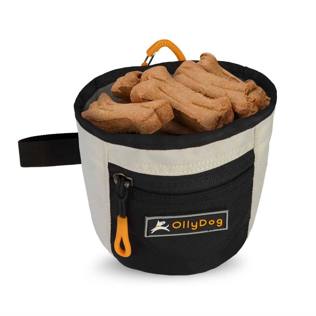 Treat Bag O586