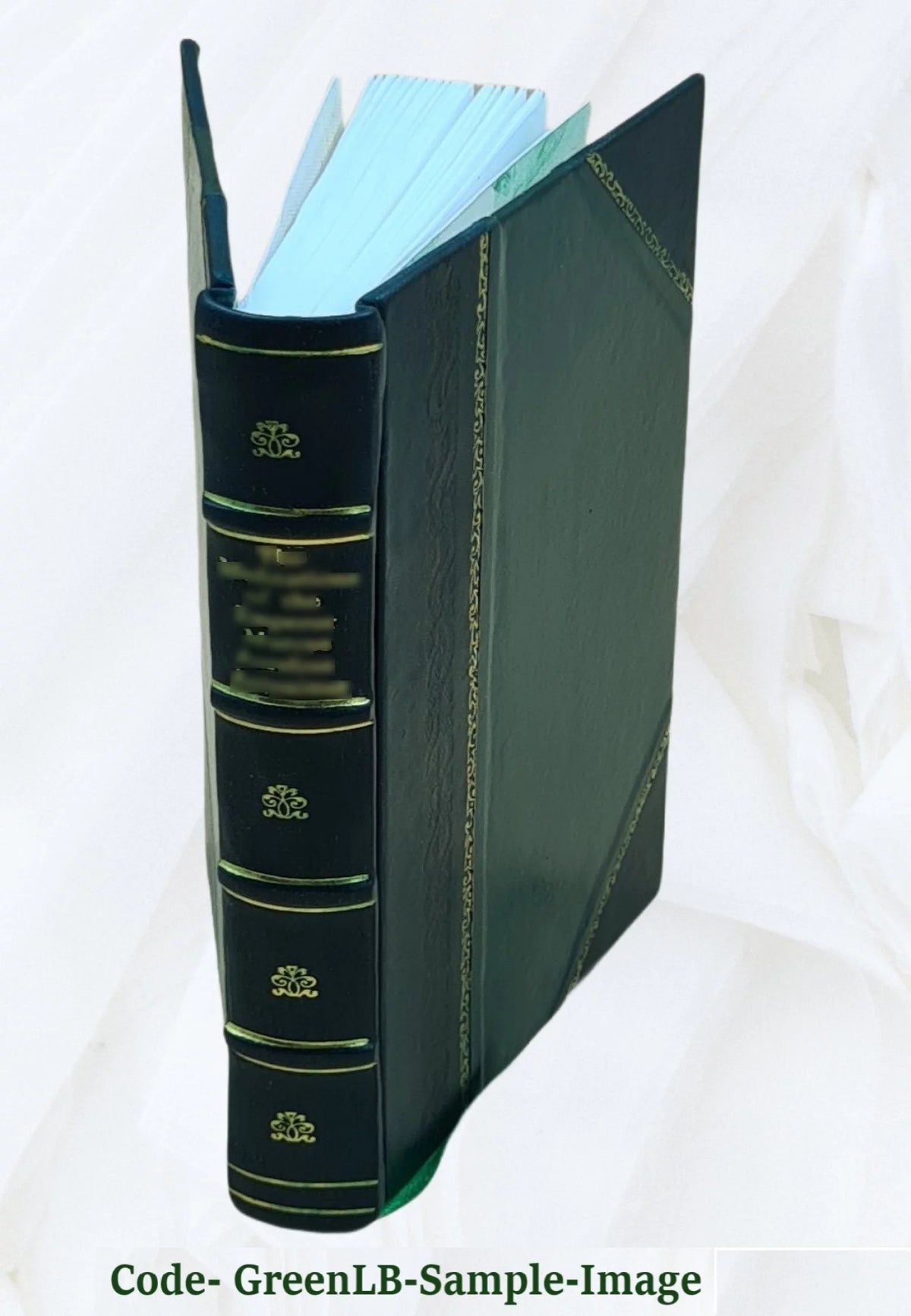 Voyage autour du monde Leather Z94652