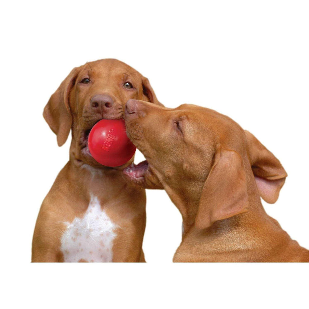 Dog Toy Ball F120632